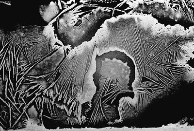 M.Pavin. Crystals