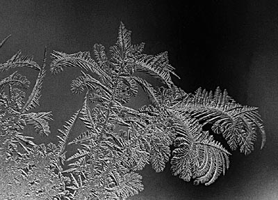 M.Pavin. Winter