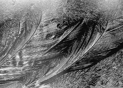 M.Pavin. Winter