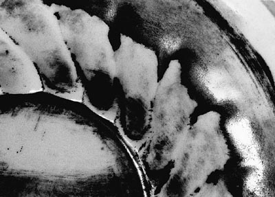 M.Pavin. Reflections