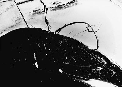 M.Pavin. Reflections