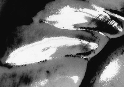 M.Pavin. Reflections