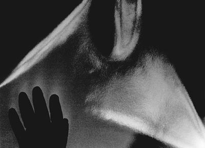 M.Pavin. Reflections
