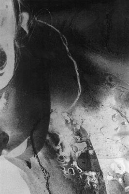 M.Pavin. Autumn