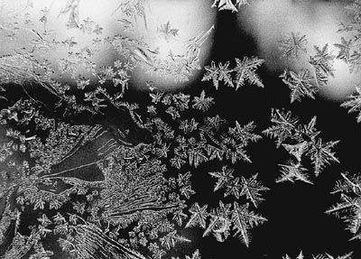 M.Pavin. Winter