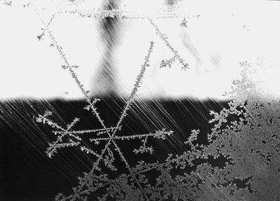 M.Pavin. Winter