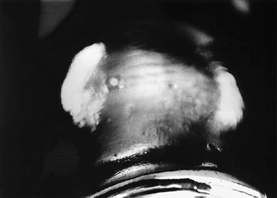 M.Pavin. Reflections
