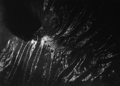 M.Pavin. Untitled