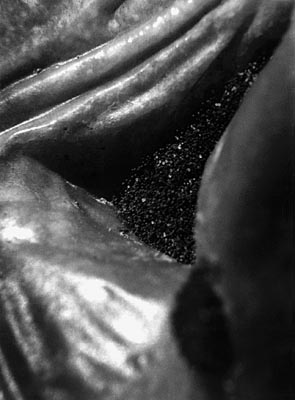 M.Pavin. Untitled