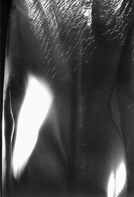 M.Pavin. The Act