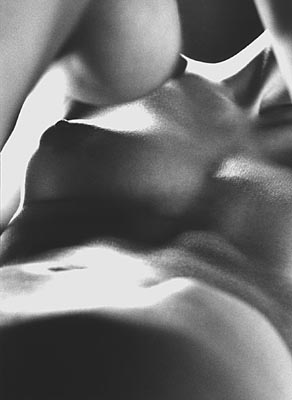 M.Pavin. Untitled