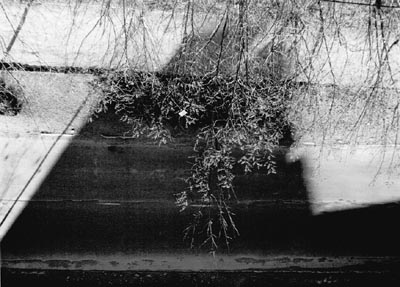 M.Pavin. City Motives