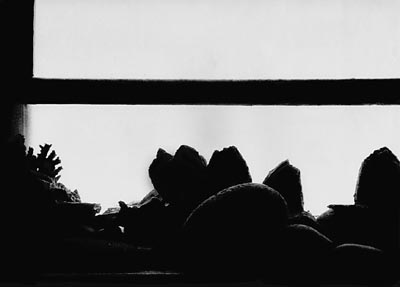 M.Pavin. Andrey and His Window