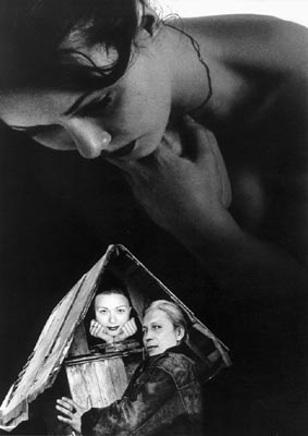 M.Pavin. A Non-Isosceles Triangle